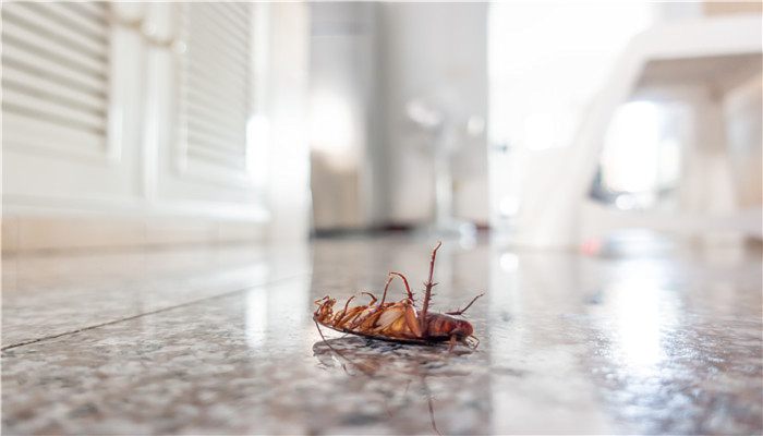 南风天地板怎么除湿 南风天气地板如何除湿