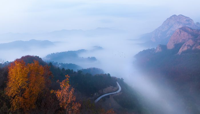 平流雾一般出现在什么时候 平流雾主要发生在什么时间