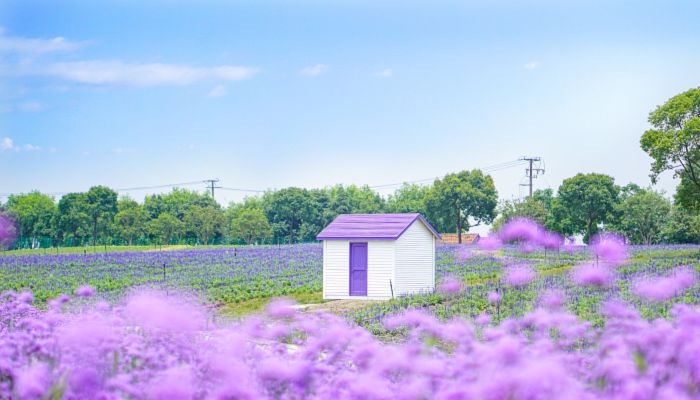 三九二十七冰水甜如蜜什么意思 三九二十七冰水甜如蜜含义是什么