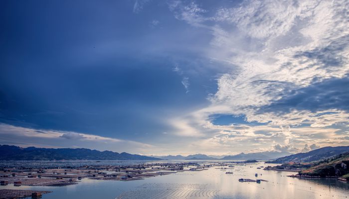 赤潮适宜发生的海水温度范围 赤潮发生的海域水温