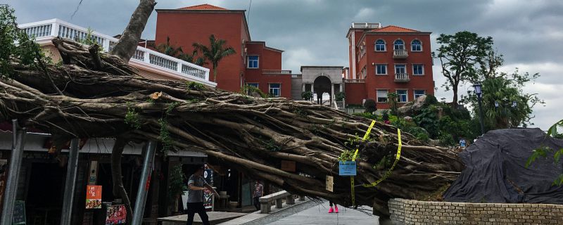 中国位于什么地震带上 中国在哪个地震带上