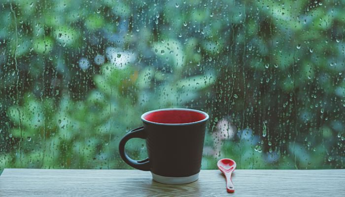 雨季是什么季节 雨季是属于哪个季节