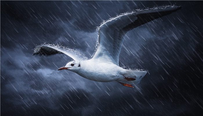 雷雨云层高度一般是多少 雷雨云层高度通常是多高