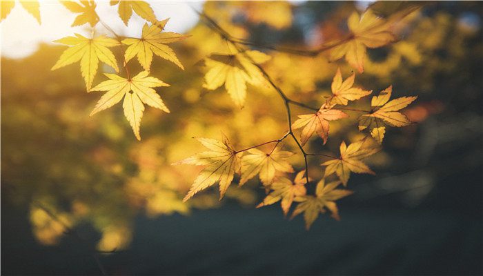 9月份还是夏天吗 9月还是属于夏季吗