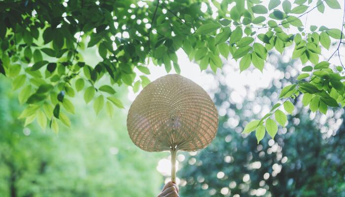 大暑祝福语简短一句话 大暑节气清凉祝福发朋友