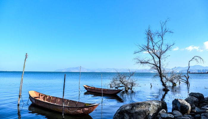 夏天地面上的热浪是什么现象 夏季地上的热浪是哪种现象