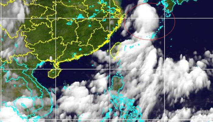 六号台风最新云图分析 台风“翠丝”高清卫星云图今日更新