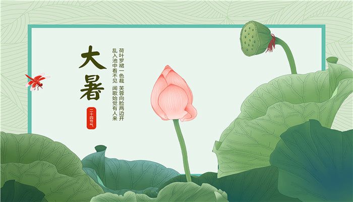 新鲜莲子可以冷冻保存吗 新鲜莲子能放冰箱冷冻保存吗