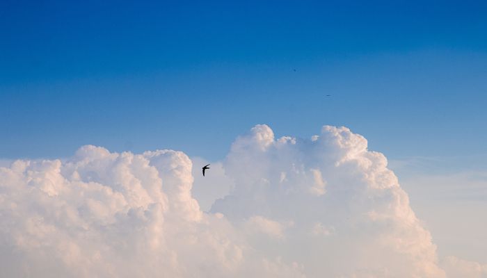 今明江西南部中部多雨局部暴雨 南昌本周多云为主高温持续