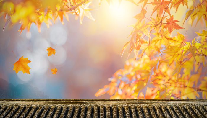 10月份是什么季节 10月是属于哪种季节