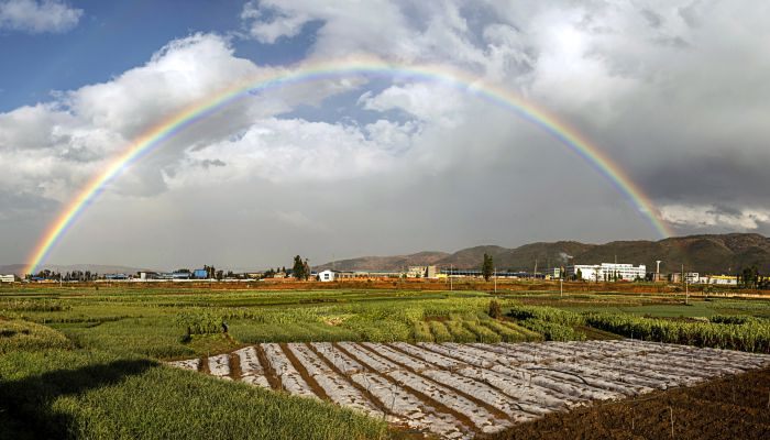 东边彩虹西边雨什么意思 东边彩虹西边雨的含义是什么