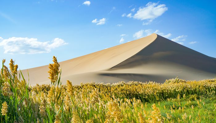 夏季干旱的原因 夏季干旱是什么因素引起的