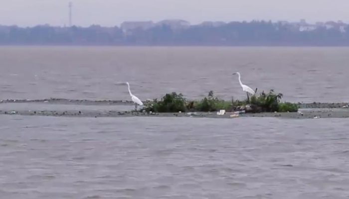 河流断流是什么意思 河流断流的含义是什么