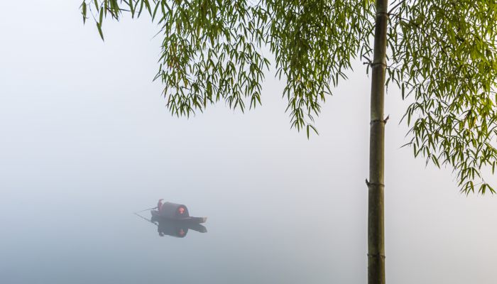 嘉陵江的水是从哪里流出来的 嘉陵江的水是从什么地方流出的