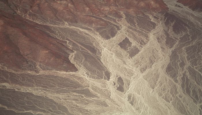 干旱致鄱阳湖河床变草原当地人开车飞驰 草高约二三十厘米