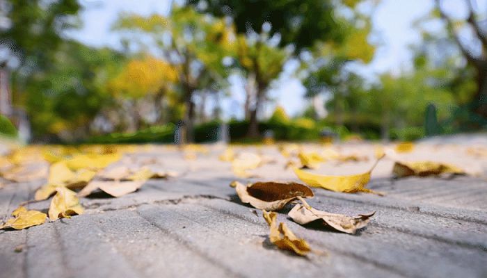 三伏结束了北京昼夜温差渐增 夜间最低气温仅19℃