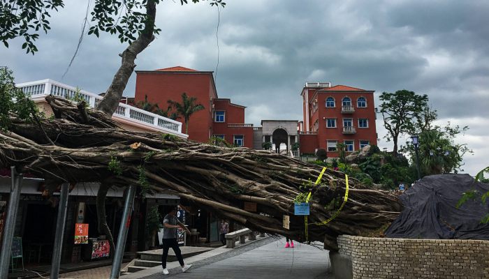 为什么打台风会下雨 为啥来台风会降雨