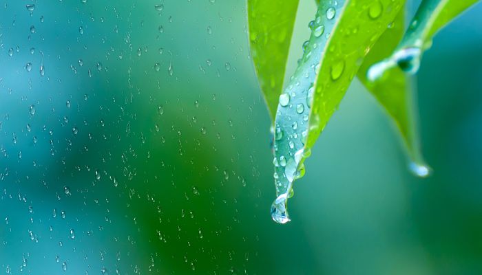 今年华西秋雨来了 北区偏早18天南区还未开启