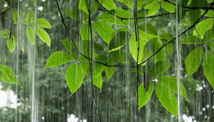 台风梅花登陆：狂风大作暴雨横飞 今夜可能三登山东半岛