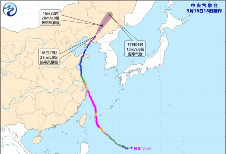 台风将大虾刮飞停在车窗上 台风过境山东时风有多大