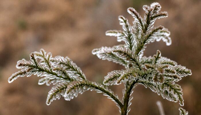 多地出现今秋首场降雪 内蒙古通辽最大积雪深度超12厘米