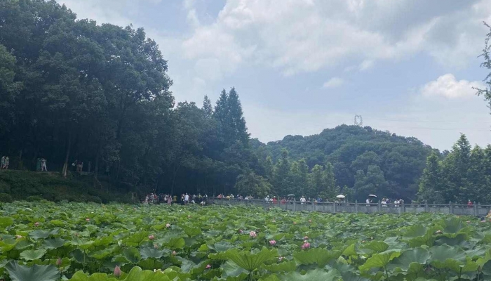 天津今明两天将达气温暖高峰 下周天气有变